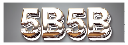 5b5b logo